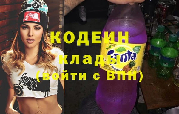 шишки Арсеньев