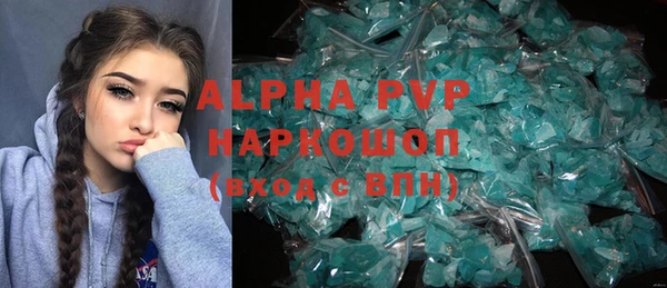 шишки Арсеньев