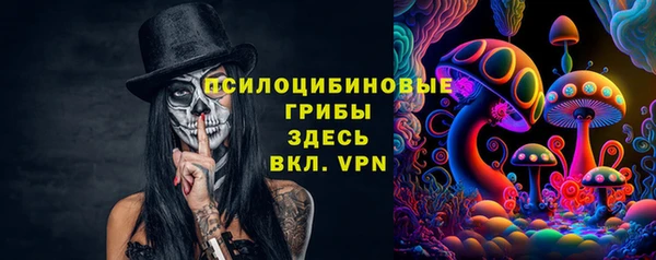 шишки Арсеньев