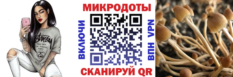 как найти   Первомайск  Галлюциногенные грибы Magic Shrooms 